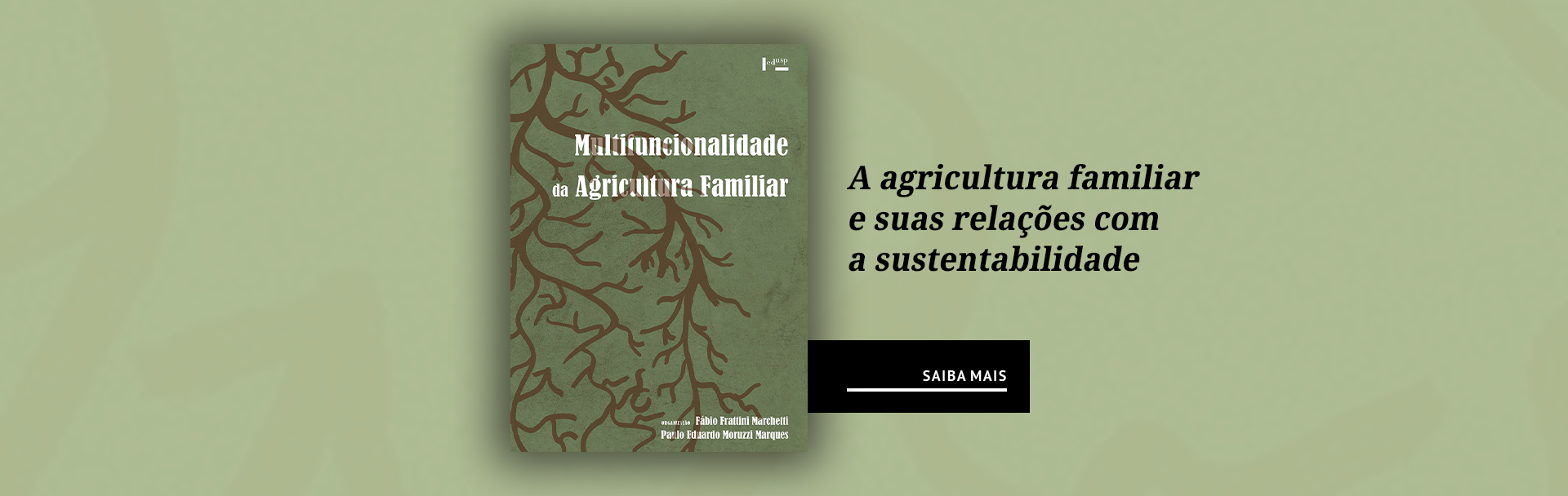 Multifuncionalidade da Agricultura Familiar: A Sustentabilidade de Sistemas Agroalimentares